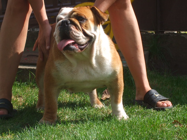 2008_09060131.JPG