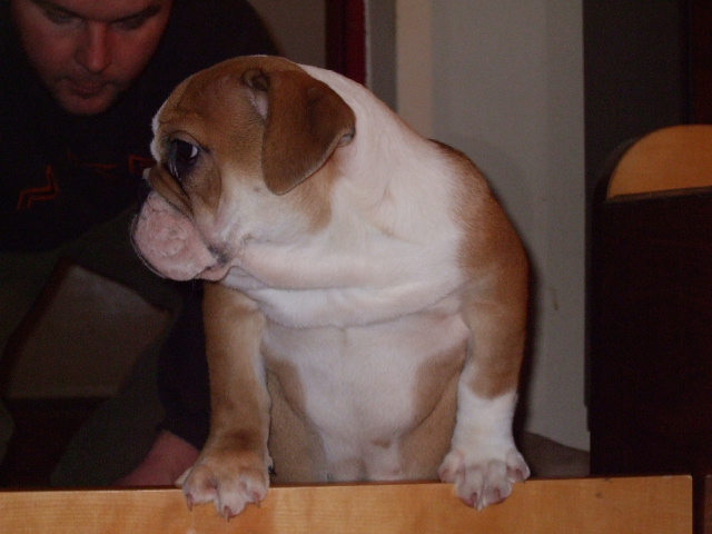2008_02110037.JPG