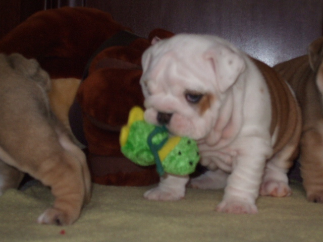 2009_03190022.JPG