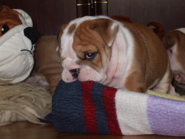 2009_03190024.JPG