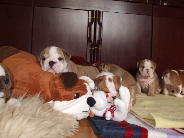 2009_03190044.JPG