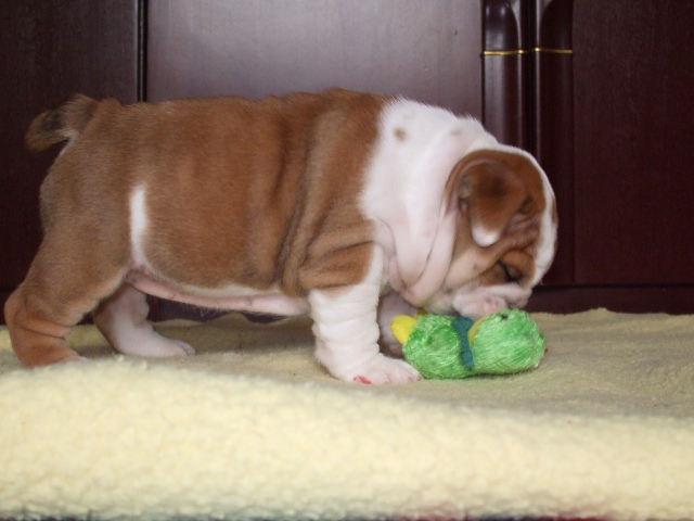 2009_03190060.JPG