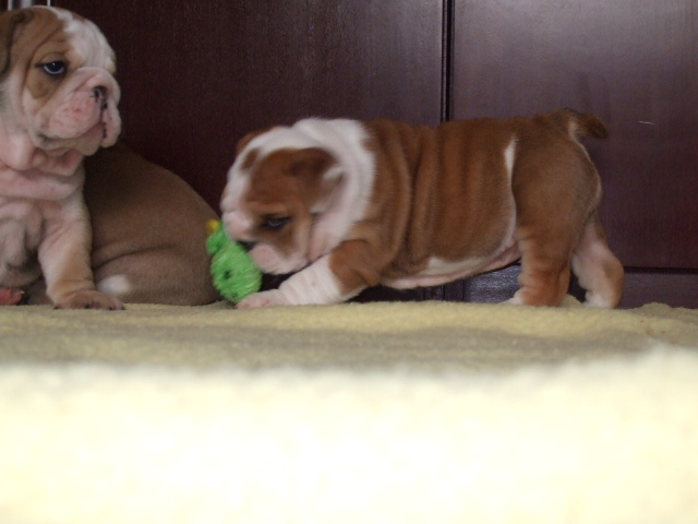2009_03190064.JPG