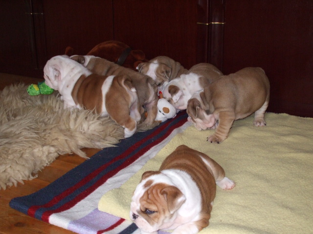2009_03190099.JPG