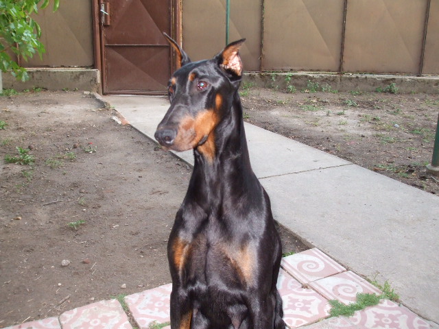 2007_08140036.JPG