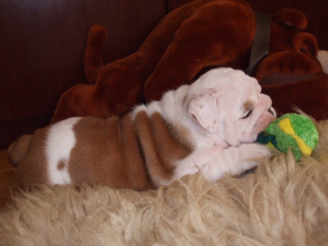 2009_03190123.JPG