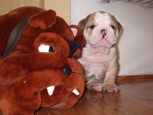 2009_03190175.JPG