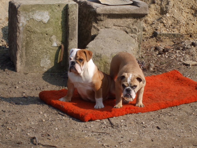 2008_03090087.JPG