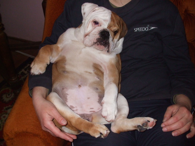 2008_03090038.JPG