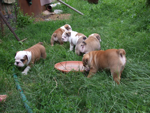 2008_07150078.JPG