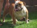 2008_09060129.JPG