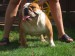 2008_09060133.JPG