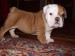 2008_01030057.JPG
