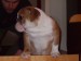 2008_02110037.JPG