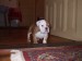2008_01030060.JPG