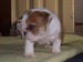 2009_03190006.JPG