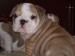 2009_03190016.JPG