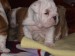 2009_03190019.JPG
