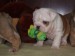 2009_03190022.JPG