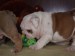 2009_03190023.JPG
