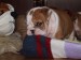 2009_03190024.JPG