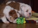 2009_03190027.JPG
