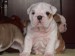 2009_03190032.JPG