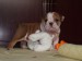 2009_03190033.JPG