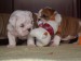 2009_03190038.JPG