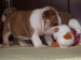 2009_03190039.JPG
