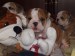 2009_03190042.JPG