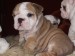 2009_03190050.JPG