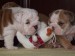 2009_03190054.JPG