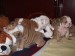 2009_03190063.JPG