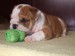 2009_03190074.JPG
