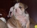 2009_03190078.JPG