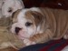 2009_03190079.JPG