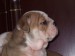 2009_03190083.JPG