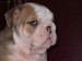 2009_03190084.JPG