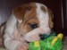 2009_03190088.JPG