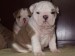 2009_03190094.JPG
