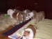 2009_03190099.JPG