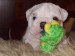 2009_03190108.JPG