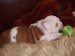 2009_03190123.JPG
