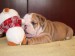 2009_03190130.JPG