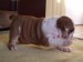 2009_03190134.JPG