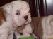 2009_03190144.JPG