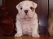 2009_03190148.JPG