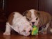 2009_03190153.JPG