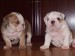 2009_03190163.JPG